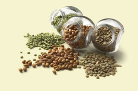 beans jars
