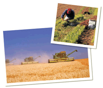 farm bill collage
