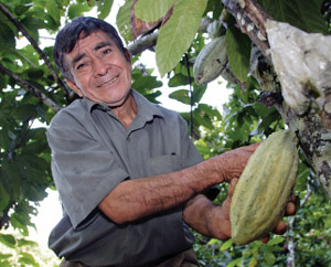 chocolate farmer