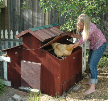 woman and chickens