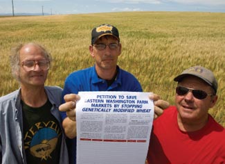 wheatfarmers gmo petition