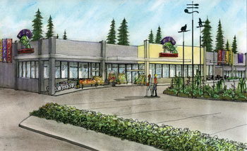 Sketch of store
