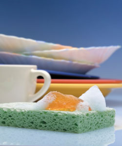 Dishes, sponge