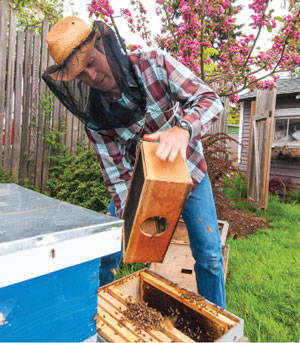 Ballard Bee Company