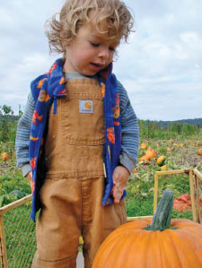 child in pumpkin patch