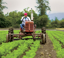 tractor