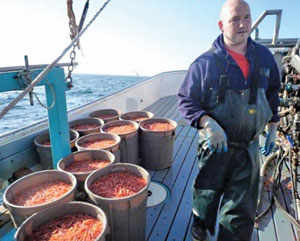 oregon pink shrimp fishery boat
