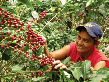 farmworker