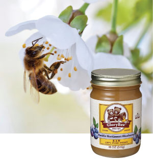 honeybee & GloryBee honey