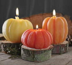 biddipperwaxworks pumpkinscandles