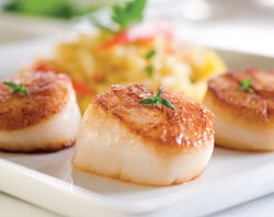seared scallops thymespring