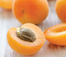 apricots wood
