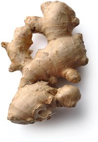 ginger root