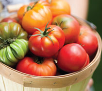 heirloom tomato basket