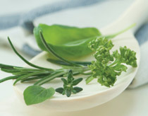 herbs spoon