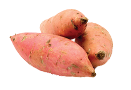 hkc yams