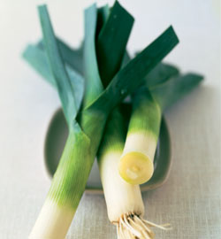 leeks isolated plate