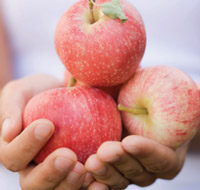 organicapples hands