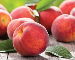 peaches woodbkgd