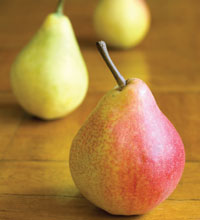 pears lineup