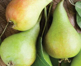 perfect pear