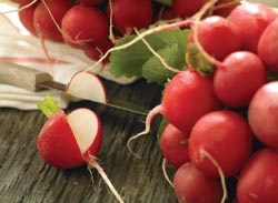 radishes slicing