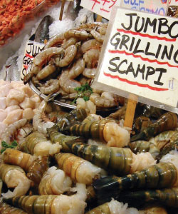 shrimp
