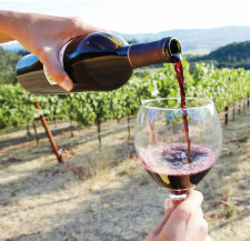 wine pouring vineyard biodynamic