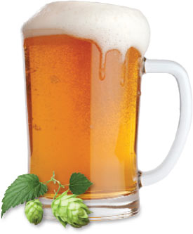 beermug hops