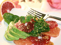 blood orange salad lynne