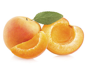 apricots in season
