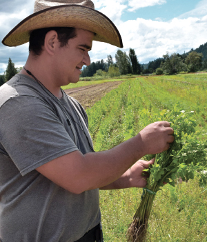 conserving farmland