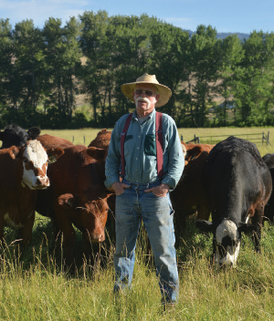 counrty natural beef vendor