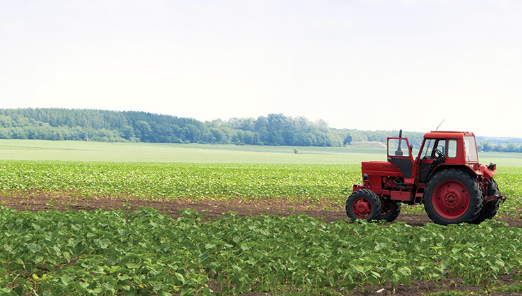 cover red tractor in field