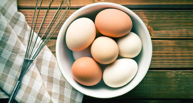 eggs exceptional