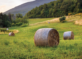 farmland soil sc