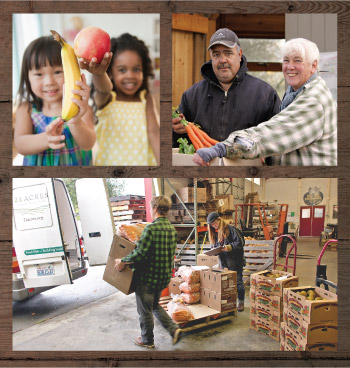 Collage of groups helping people