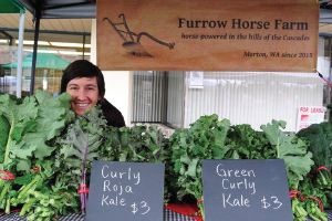 furrow horse farm