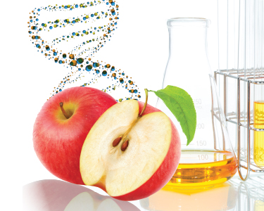 gmos