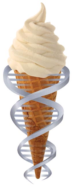 ice cream cone