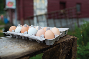 little eorthe farm eggs