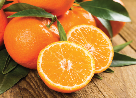 mandarin oranges