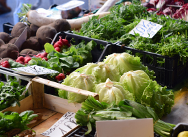 organic standards market