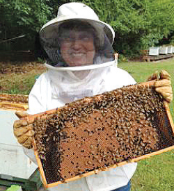 osu beekeeper