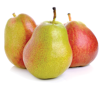 pears bartlett px