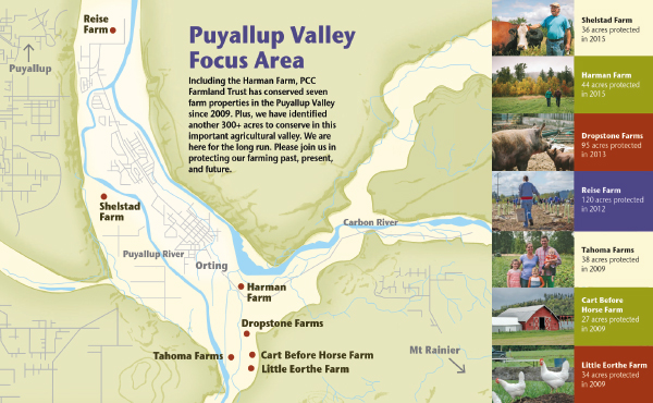 puyallup valley