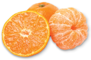 satsuma mandarin