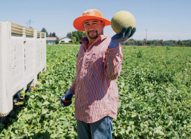 schreiber and sons watermelon