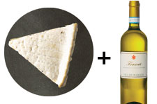 cheese wine