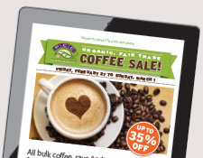connect online email specials